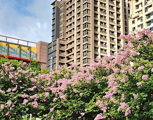 專任~七期新光三越全新裝潢3+1房+平面車位 - 591租屋網 - Image 2