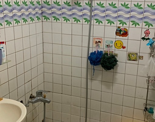 可補助/小寵/入戶口 - Image 3