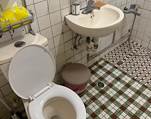 可補助/小寵/入戶口 - Image 4