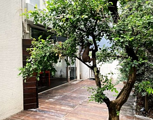 🏠圓山聚點慢聚場｜鳥松青雲街金店面 - Image 6