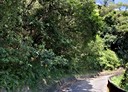 鶯歌區-土地,219.8坪