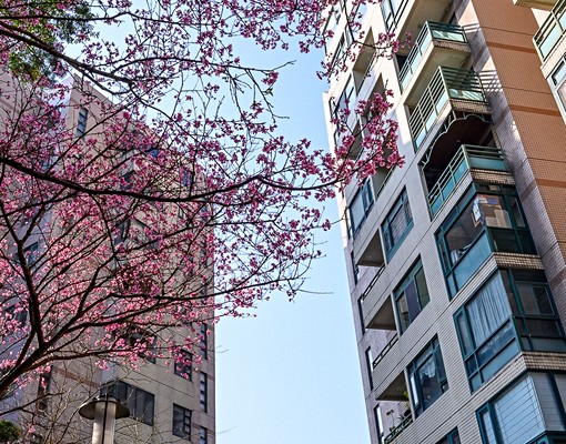 💗專營石門水庫中科院水鄉高樓景觀套房租補可 - Image 14