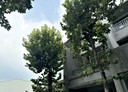 潭子區-和平路4房3廳，50.7坪