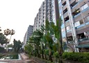 文山區-辛亥路四段1房1廳，13.3坪