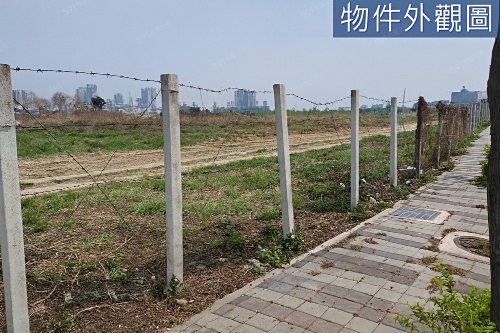 照片
