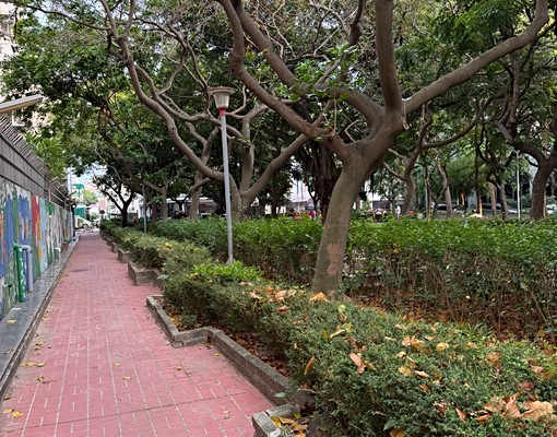 五期南屯好事多可租補方正採光大三房 - Image 13