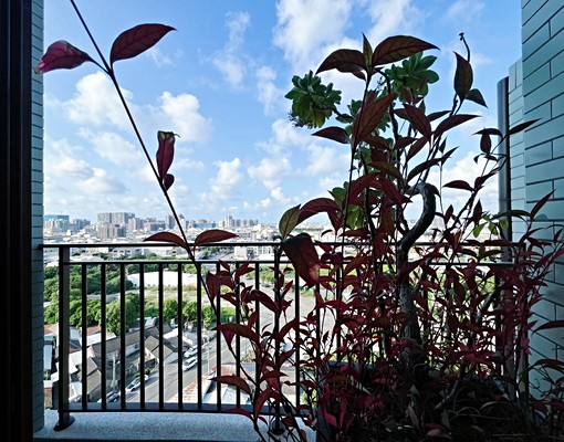 《餘慶豐閣》近童綜合~可租補兩房 - 591租屋網 - Image 6