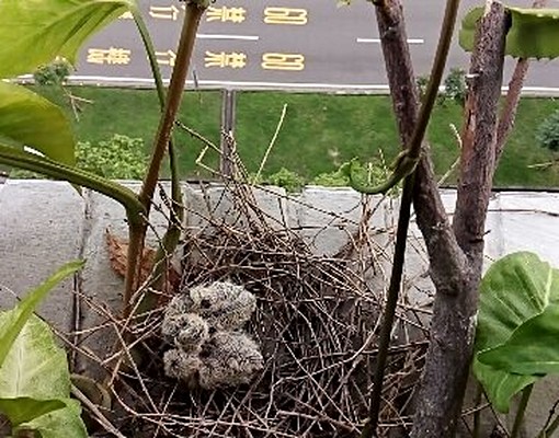 安全舒適怡然自得的生活圈 - Image 14