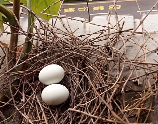 安全舒適怡然自得的生活圈 - Image 13