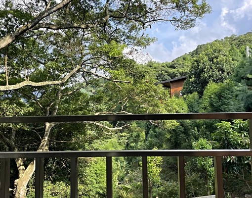 拎包入住💖合興車站💖休閒度假小木屋💖超大景觀露台💖 - Image 13