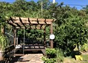 北埔鄉-環湖段土地,143.4坪