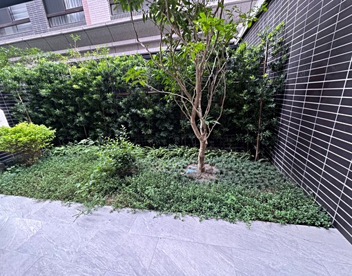 全新帝寶花園1房2廳1衛 - Image 12
