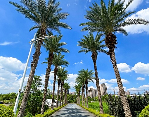 顧家🍎免仲可補🍎八德三本阿曼3+1房🍎飯店級社區景觀宅 - Image 13