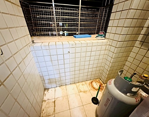 安康/租補報稅/寵物友善/台水電/格局方正/空間寬敞 - Image 12