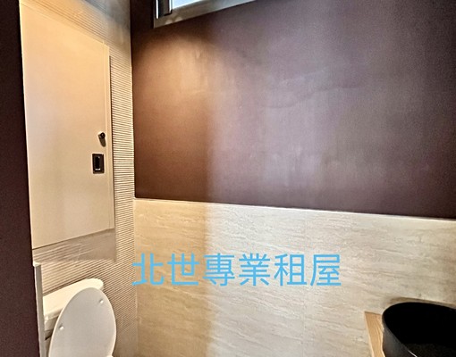近林口康橋高檔裝潢大空間透天美屋-兩個平面車位-1F店面 - Image 13