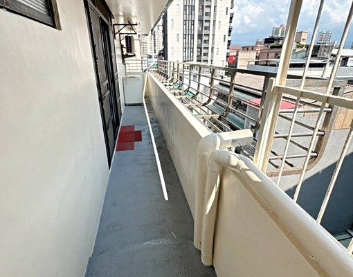 ✨頂溪捷運站｜耕莘醫院✨｜網溪國小頂加✨寵貓可✨ - Image 2