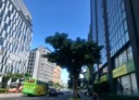 松山區-民權東路三段辦公，36坪