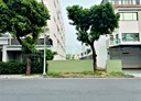 善化區-土地，126.3坪
