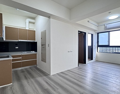 安南全新2房雙衛浴含管充電樁平車 - Image 1