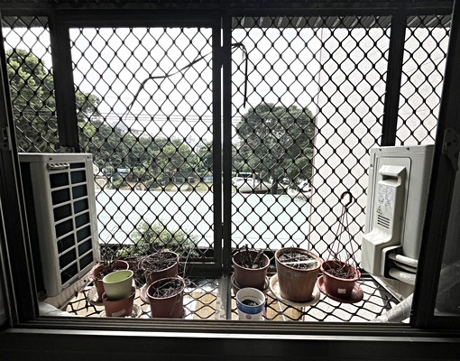 🏠【大肚區2房公寓出租｜星鴻社宅✨可租補】 - Image 8