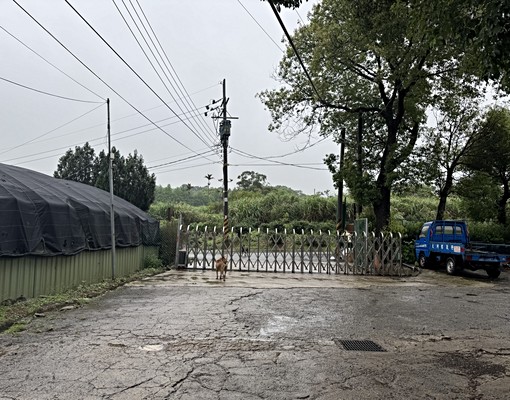 楊梅區小倉庫,前有廣場可停車 - Image 5