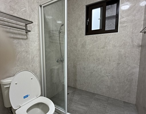 湖口正王爺壟商圈。全新透天電梯可租補平車獨洗 - Image 9