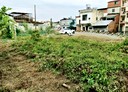 旗山區-土地,114.2坪