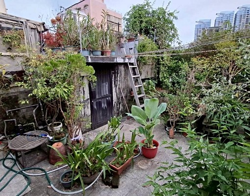 雙捷三重站🌻頂樓絕美花園套房🌻15坪花園魚池 - Image 5