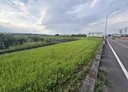 岡山區-土地，1689坪
