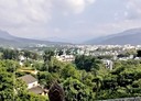 集集鎮-土地，10360坪