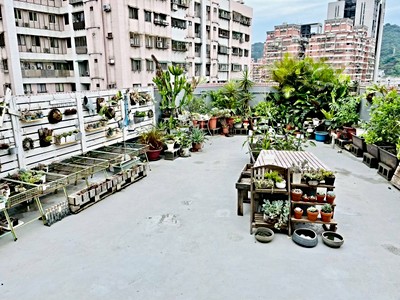 社區圖片