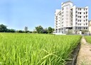 大雅區-永和路2房2廳,47.1坪