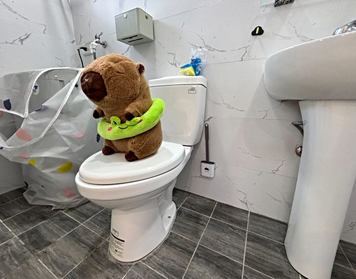 南紡2樓可租補可寵電費4.2獨洗垃圾處理 - Image 13