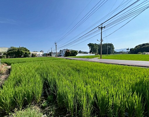 允將福砌二房平車可雙租補@一期一會 - Image 15