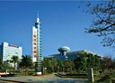 龜山區-樂善二路辦公，30.7坪