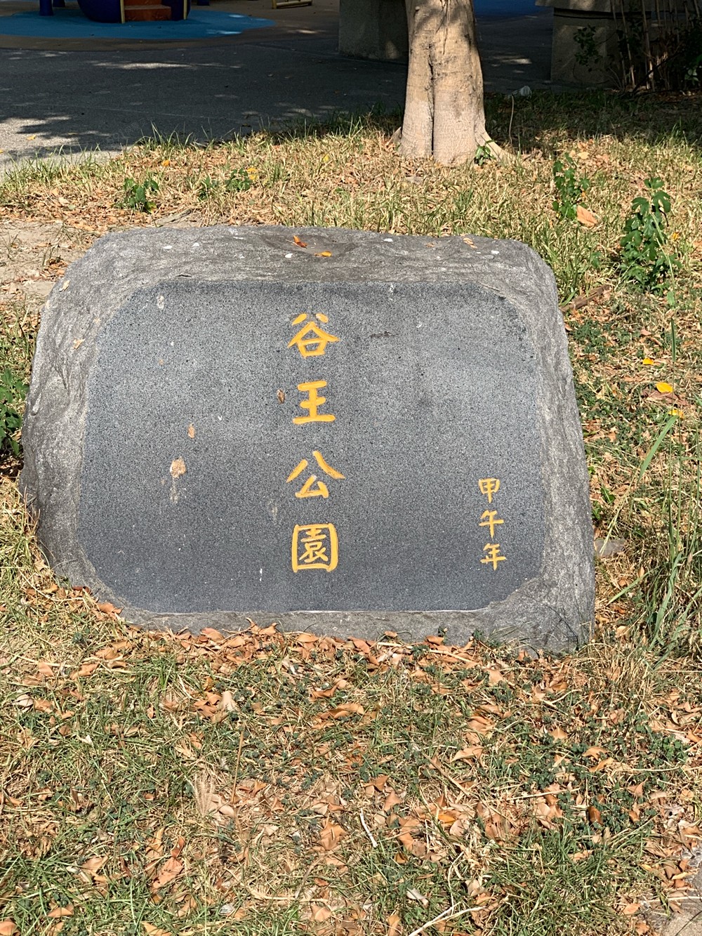 照片
