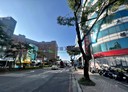 蘆竹區-水尾段土地,962坪
