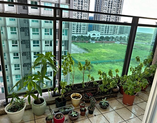 領海社區新市鎮淡海國小學區大三房出租 - Image 5