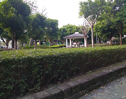 天母榮華特區-公園優質公寓生活機能佳 - Image 3