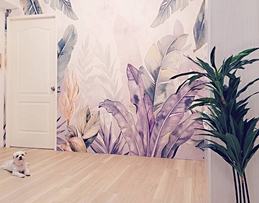 全新裝潢電梯陽光雅房｜一房一機・拎包入住 - Image 8