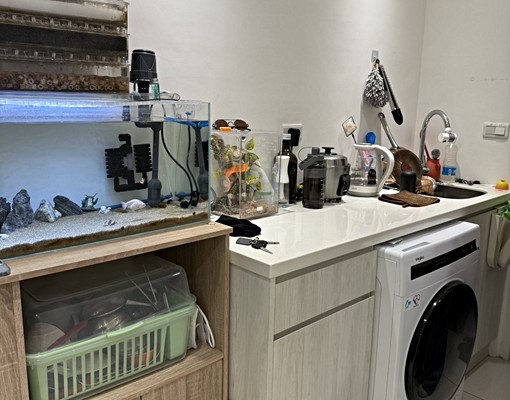 體育園區電梯大套房 - Image 3