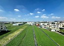 大里區-東興路3房2廳，44.1坪