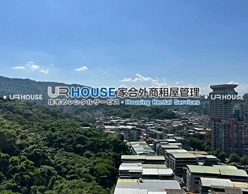 信義計畫區象山⁕高樓山景大面採光 - Image 13