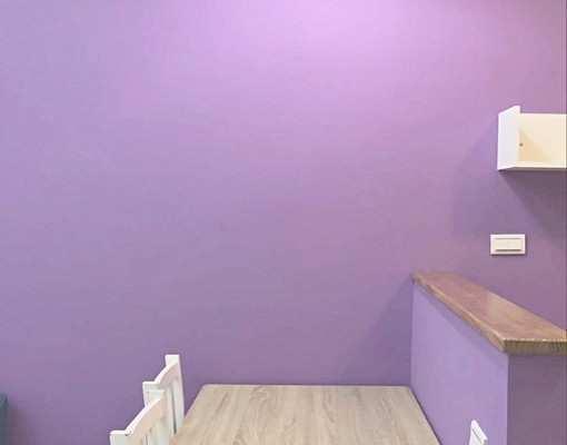 善化中山路商圈一房一廳，8分鐘到南科台積電 - Image 3