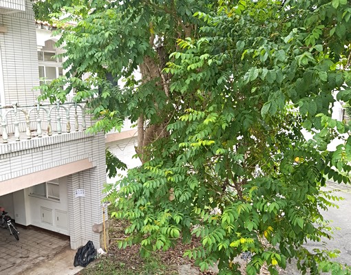 美式別墅社區110坪近台積電2奈米廠地120坪 - Image 12