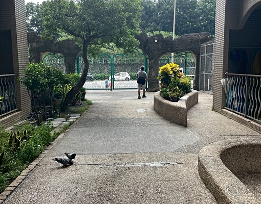 初夏3+1山河美樓出租 - Image 11