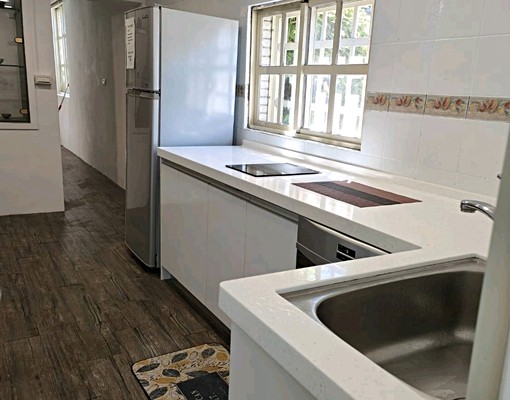 美崙透天屋況好禁寵 - Image 7