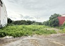 大溪區-大鶯段土地，255.6坪