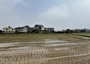竹東鎮-中員段土地，629.4坪