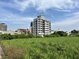 實景圖(5)